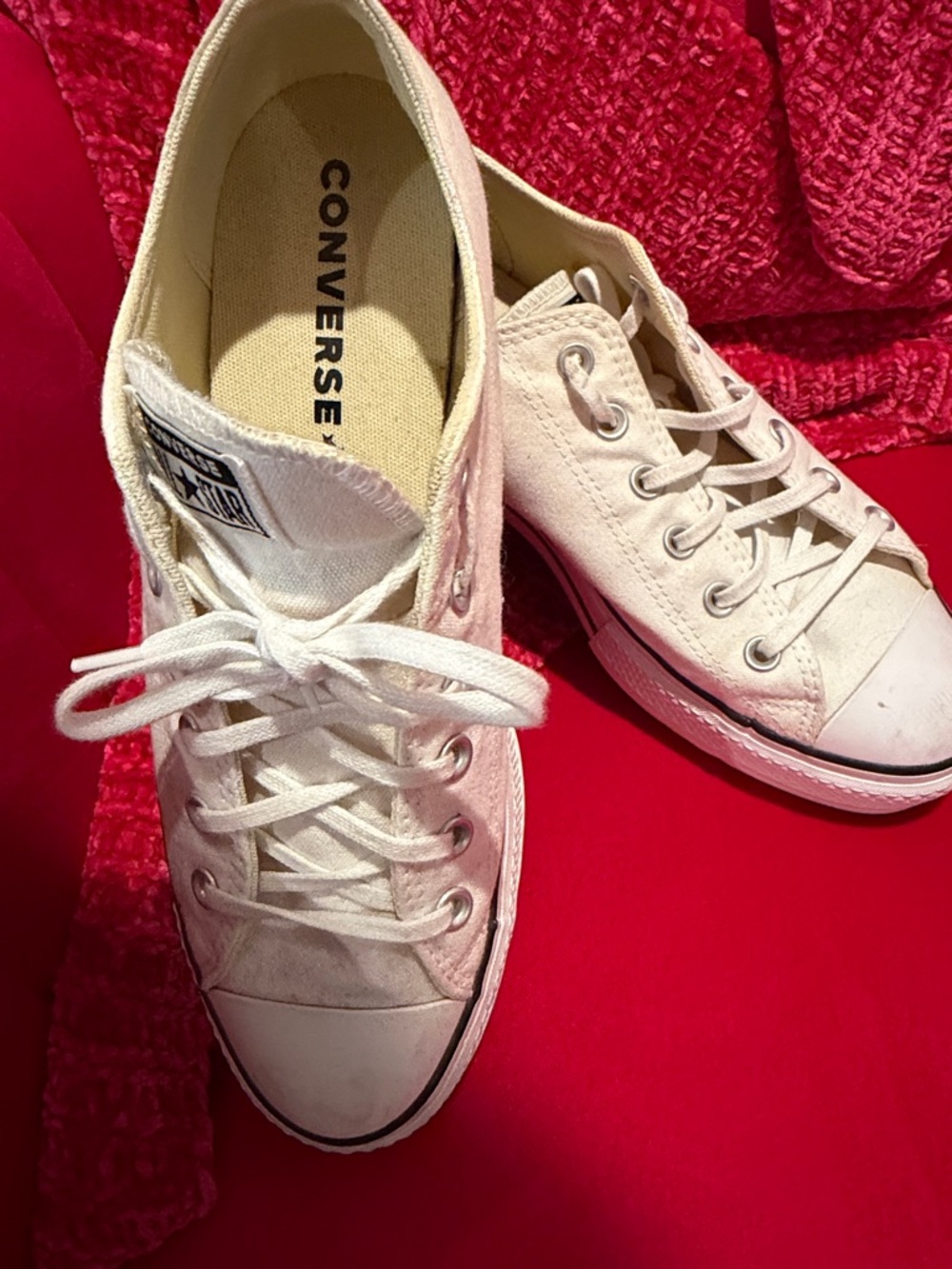 Converse Low Top Canvas Sneakers in Off-White